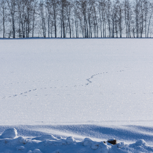 Photo #13900408