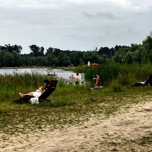 Photo #13900481
