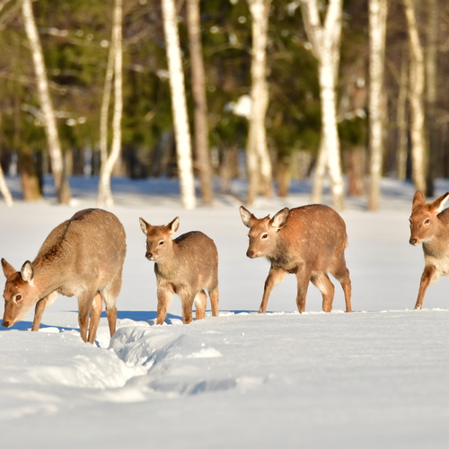Photo #13900495