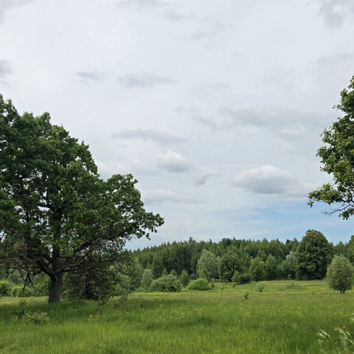 Photo #13900527