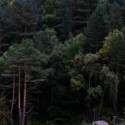 Photo #13900528