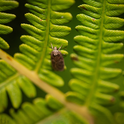 Photo #13900565