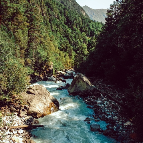 Photo #13900576