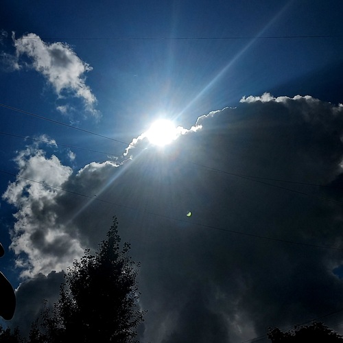 Photo #13900588