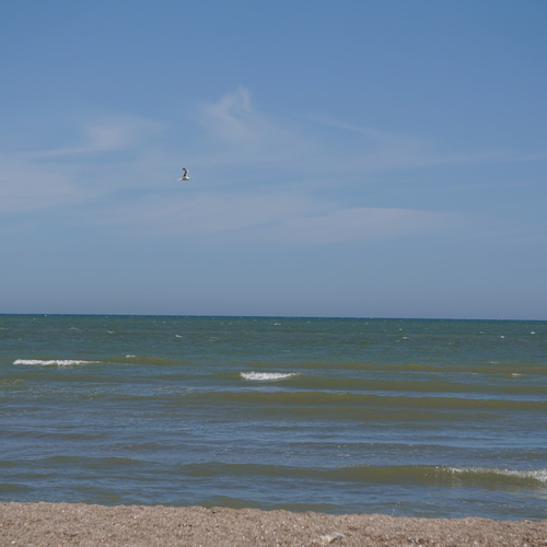 Photo #13900607