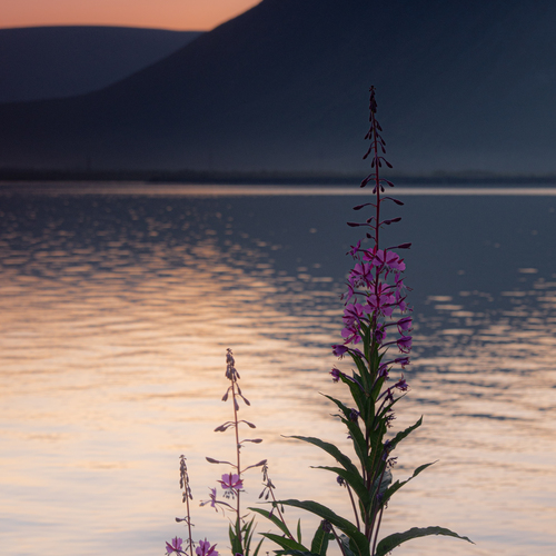 Photo #13900635