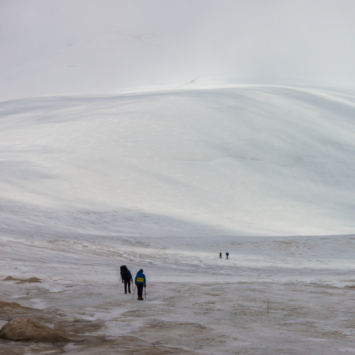 Photo #13900739