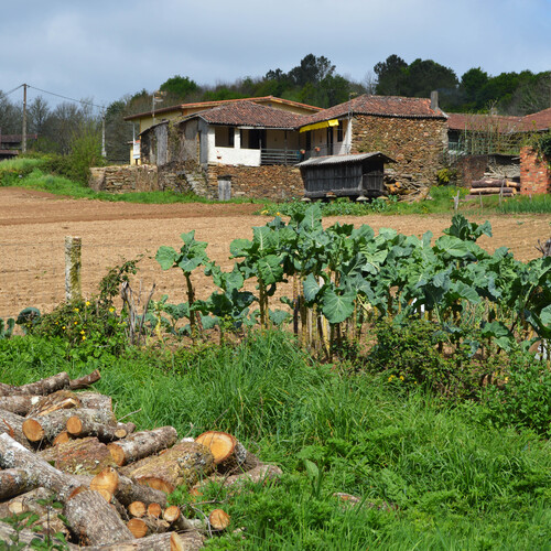 Photo #13900755