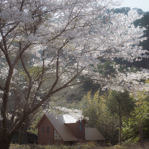 Photo #13900841