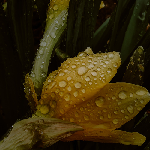 Photo #13900938
