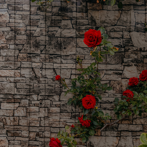Photo #13900940