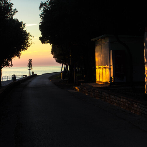 Photo #13901033