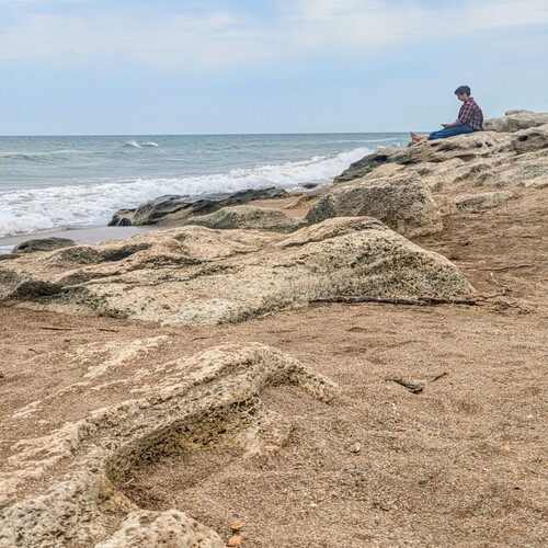 Photo #13901059