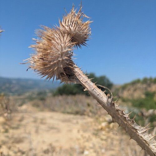 Photo #13901068