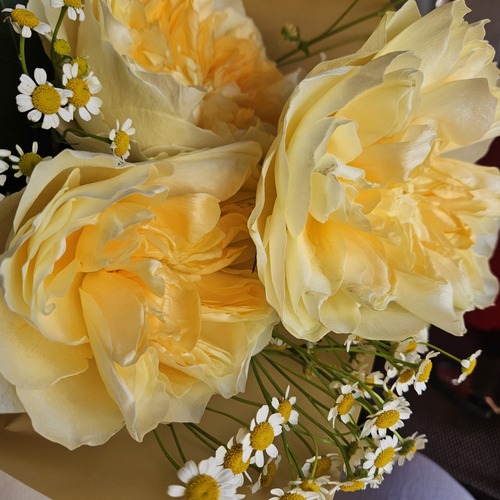 Photo #13901106