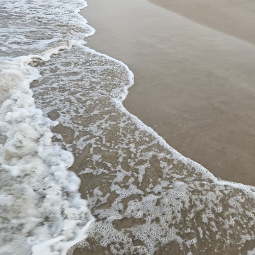 Photo #13901131