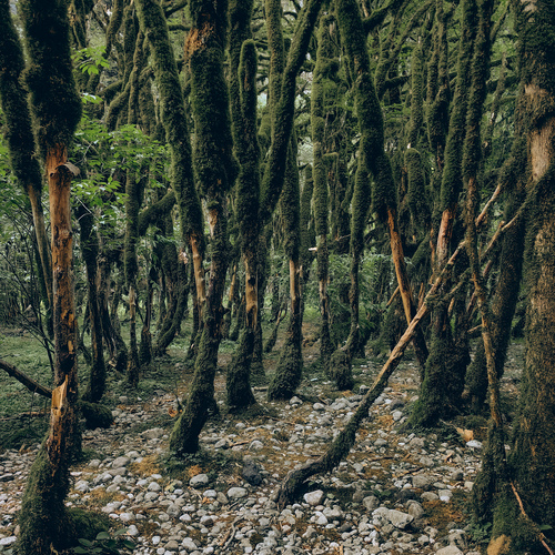 Photo #13901164