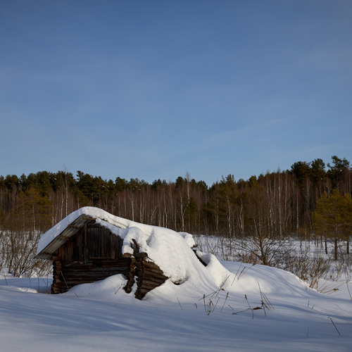 Photo #13901178