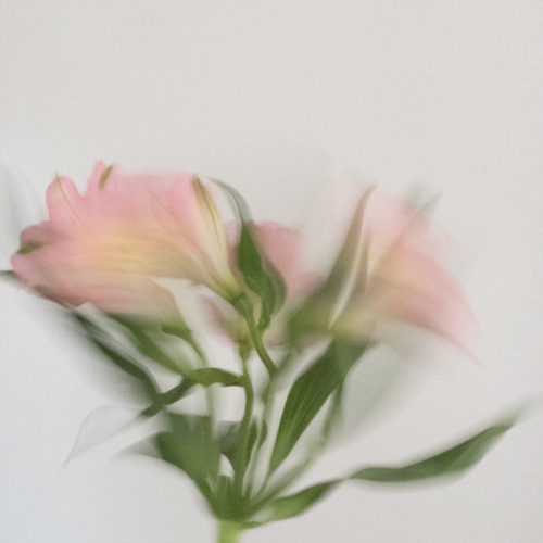 Photo #13901189