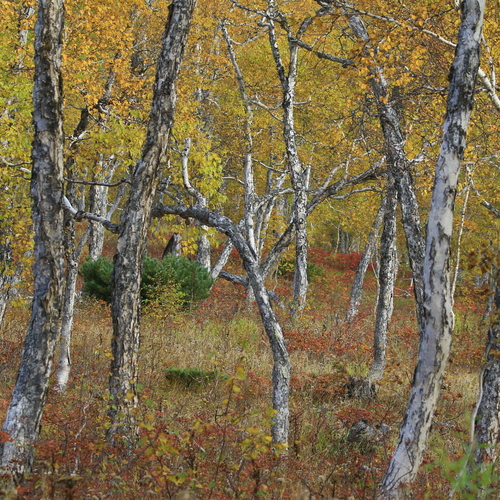 Photo #13901197