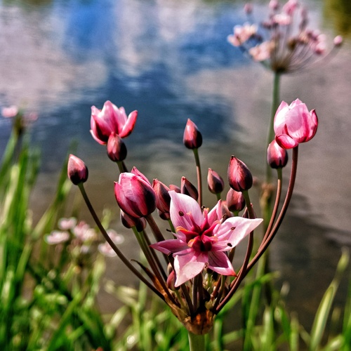 Photo #13901207