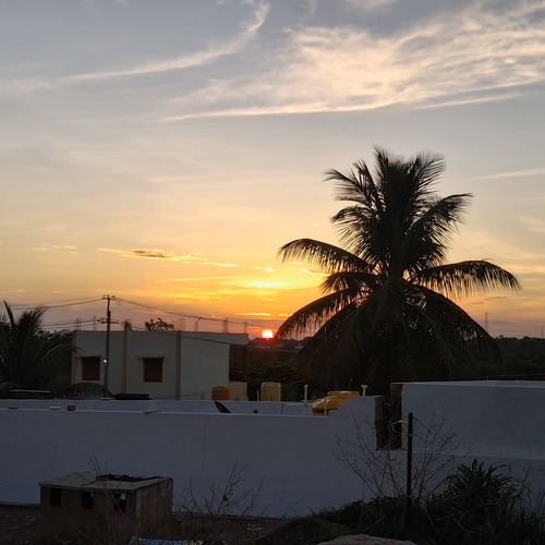 Photo #13901219