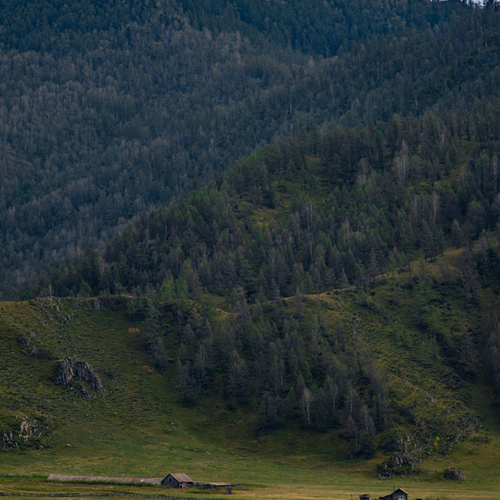 Photo #13901310