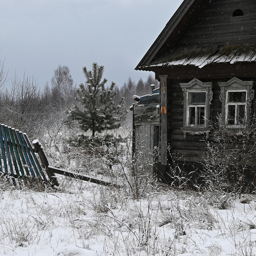 Photo #13901321