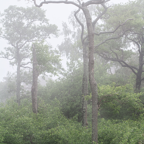 Photo #13901326