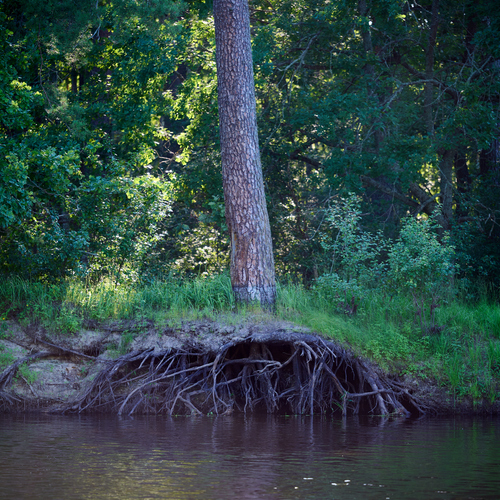 Photo #13901361