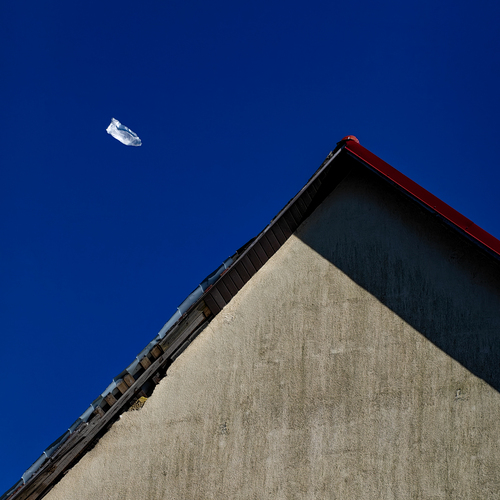 Photo #13901449