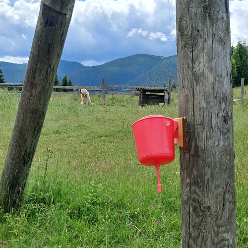 Photo #13901485