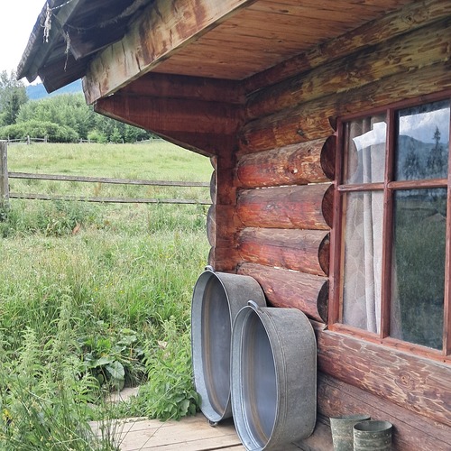 Photo #13901486