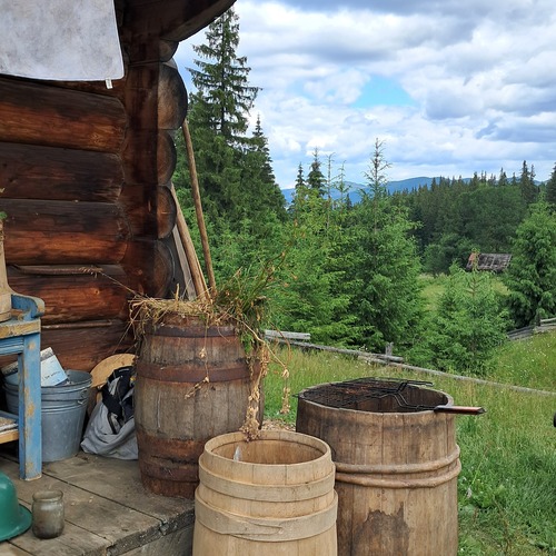Photo #13901487