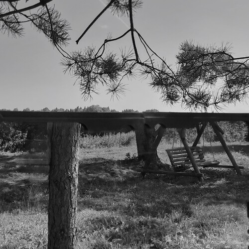 Photo #13901545