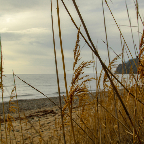 Photo #13901672