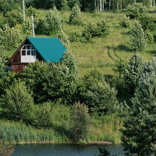 Photo #13901693