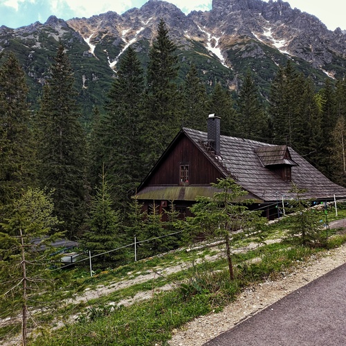 Photo #13901710