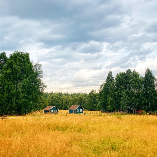 Суровое лето на хуторе