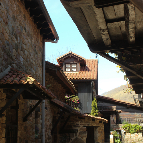 Photo #13901765