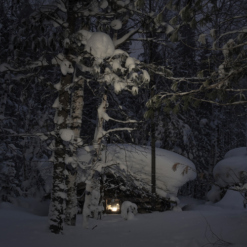 Photo #13901793