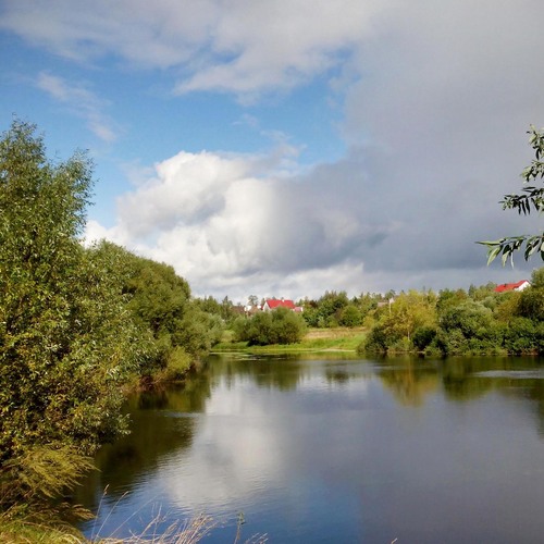 Photo #13901847