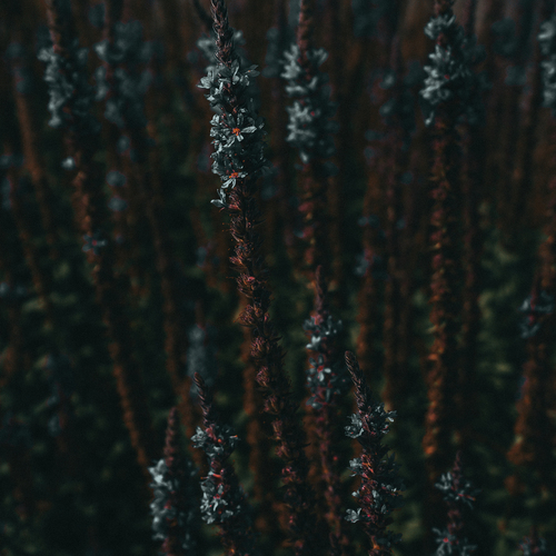 Photo #13901896