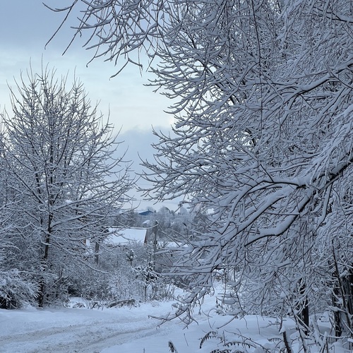 Photo #13902064