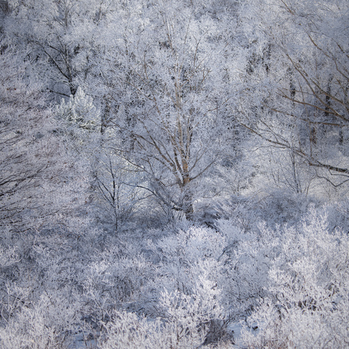 Photo #13902096