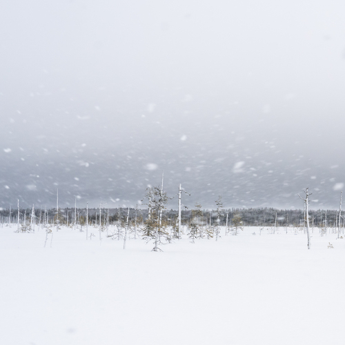 Photo #13902119