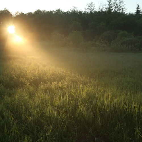 Photo #13902203