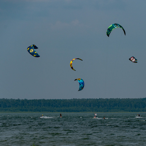 Photo #13902241