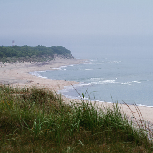 Photo #13902274