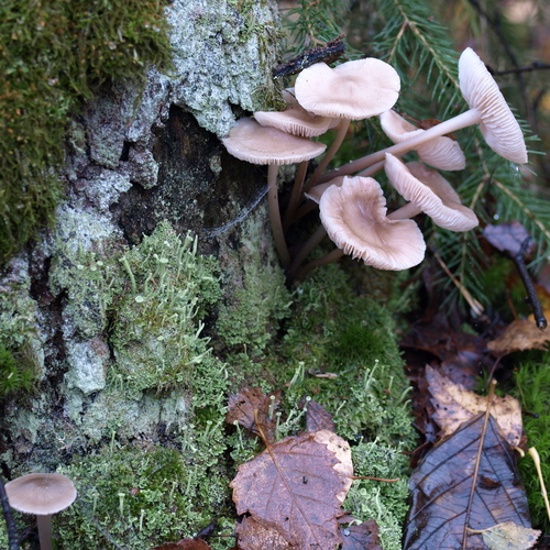 Photo #13902277